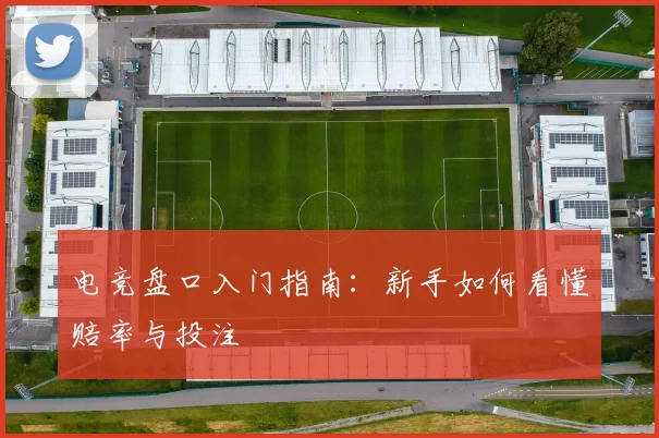 电竞盘口入门指南：新手如何看懂赔率与投注