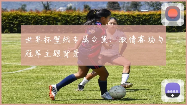 世界杯壁纸专属合集：激情赛场与冠军主题背景